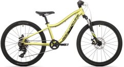 Rock Machine Storm 24 MD / Sulfur Yellow / 24x12.0"
