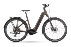 Raymon Tahona 600 Wave Tenmoku