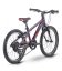 Raymon TwoRay 1.0 Purple Red 20"