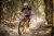 Enduro a AllMtn