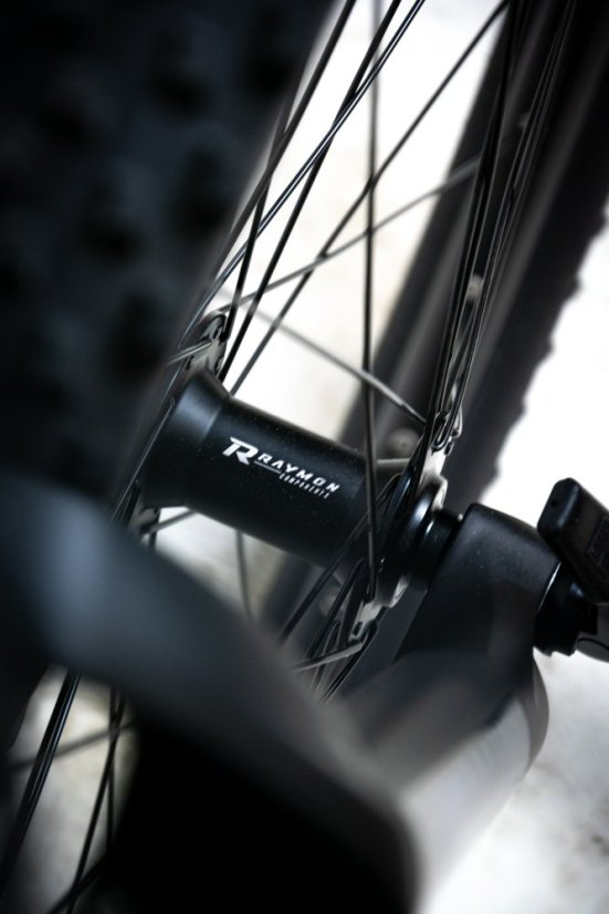 Horský elektrobicykel Raymon HardRay E 7.0 SE Black Matt 29"