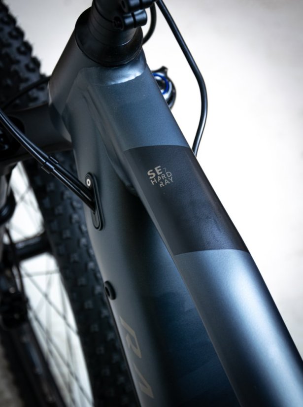 Horský elektrobicykel Raymon HardRay E 7.0 SE Black Matt 29"