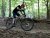 Výpredaj horských hardtail bicyklov