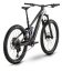 Celoodpružený horský elektrobicykel Raymon Tarok Pro Carbon Galaxy
