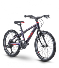 Raymon TwoRay 1.0 Purple Red 20"