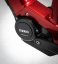 Raymon HardRay E 4.0 Dark Red Black 29"