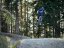 dámské MTB kraťasy Patria - Veľkosť: XS
