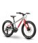 Detský horský bicykel Raymon Yanga Pro 20"