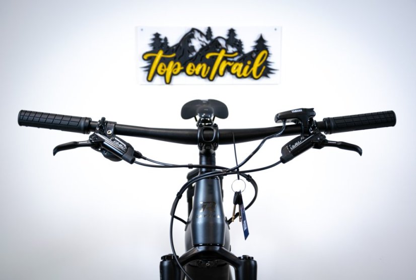 Horský elektrobicykel Raymon HardRay E 7.0 SE Black Matt 29"