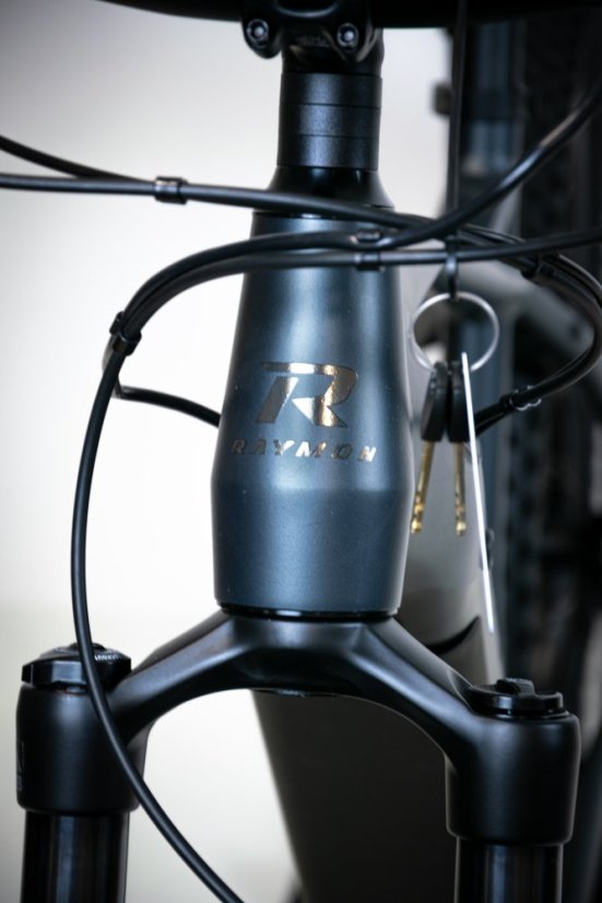 Horský elektrobicykel Raymon HardRay E 7.0 SE Black Matt 29"