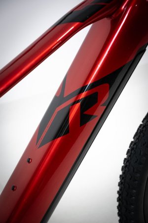 Raymon HardRay E 4.0 Dark Red Black 29"