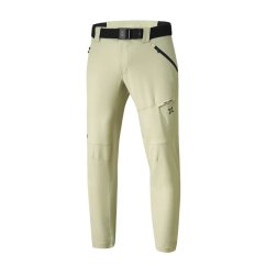 IXS Carve 1.0 pants, sand, XL